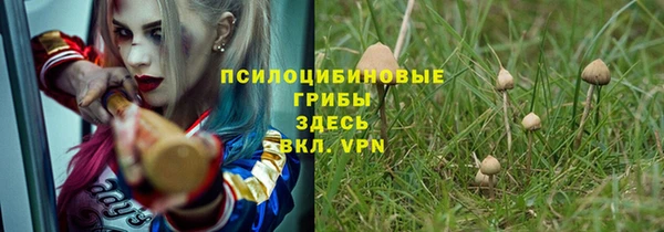 спайс Заводоуковск