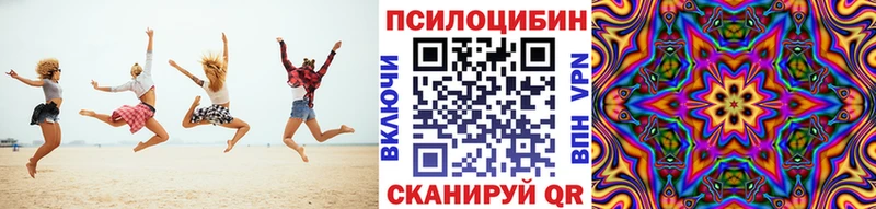 Купить  Няндома  Псилоцибиновые грибы MAGIC MUSHROOMS 